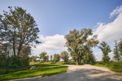 Gemeinde Altötting Landkreis Altötting B299 Inn Weg zur Anlegestelle (Dirschl Johann) Deutschland AÖ